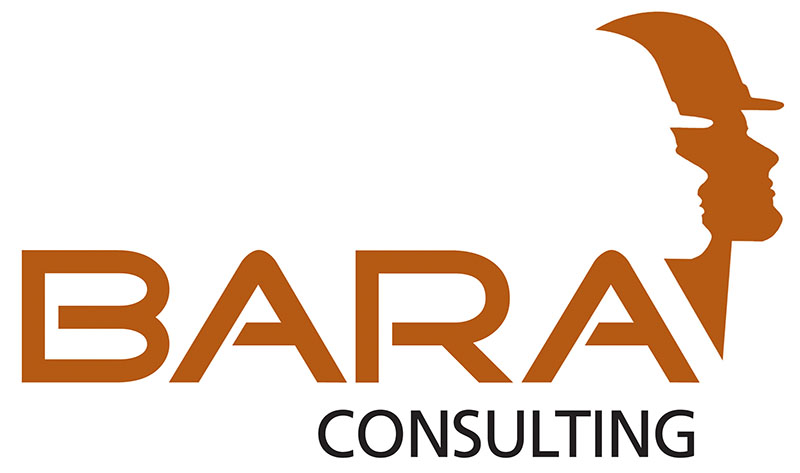BaraConsulting logo-1 rgb 23092025