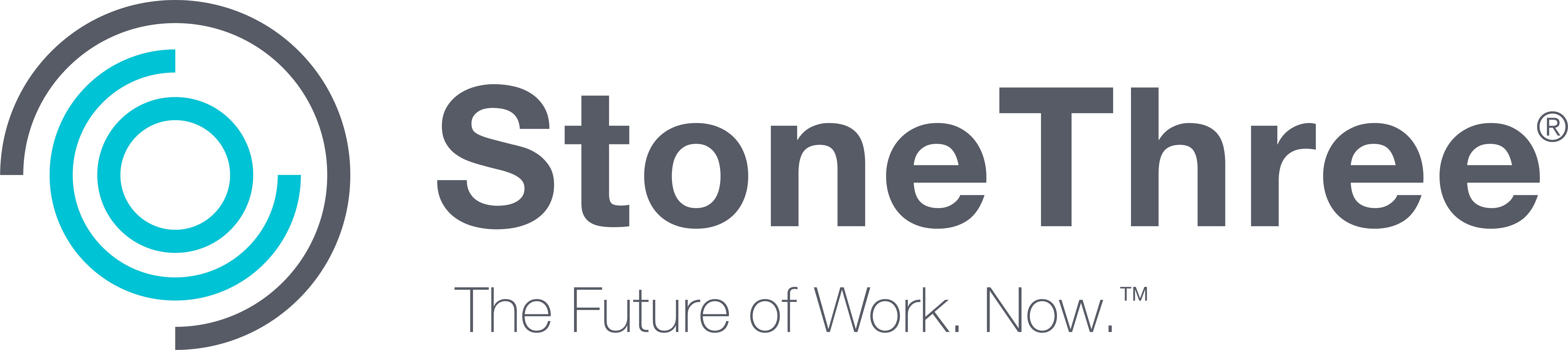 S3 Logo Grey with TM and R